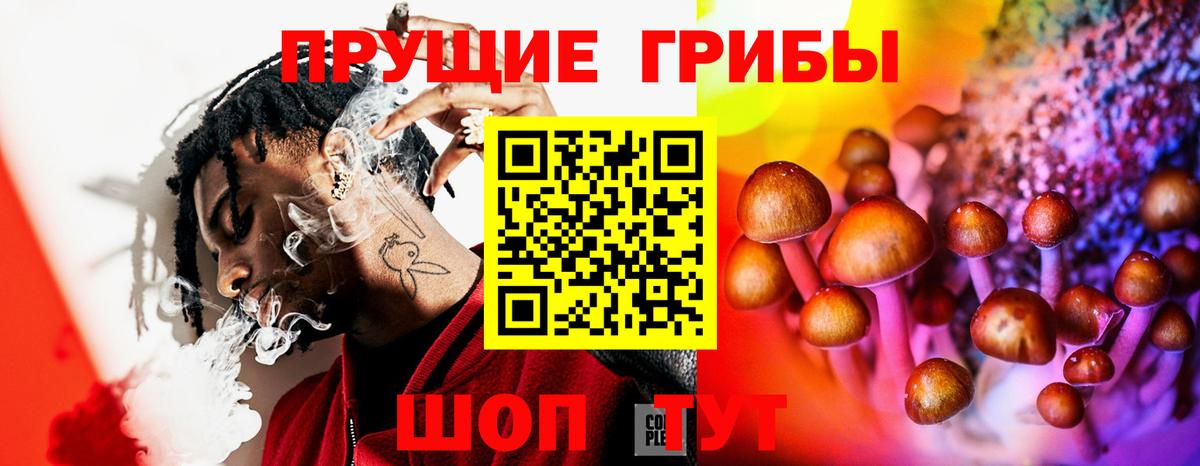 Псилоцибиновые грибы Cubensis  Вход с VPN  Ухта 